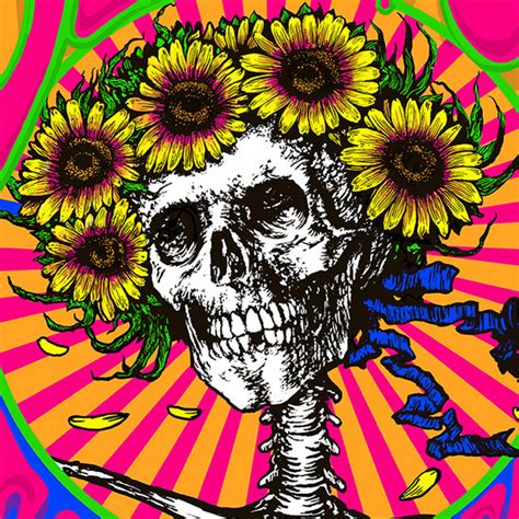 Live At Folsom Field Boulder Co 732023 Album By Dead And Company