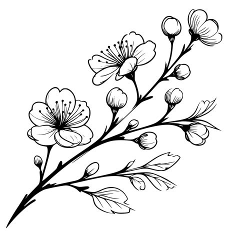 Cherry Blossom Branch SVG For Cricut Silhouette Laser Machines