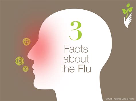 facts   flu