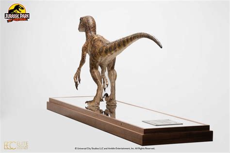 Clever Girl Velociraptor Maquette Reproduction With Acrylic Case By