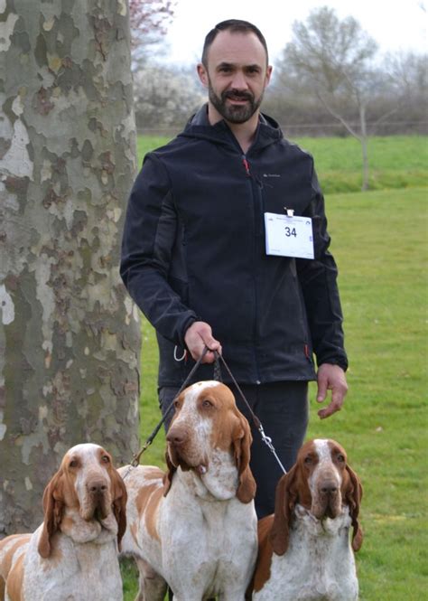 Accueil Elevage Du Clos Des Petites Vignes Eleveur De Chiens Braque