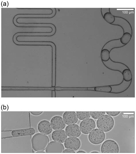 Amt The Microfluidic Ice Nuclei Counter Z Rich Mincz A Platform