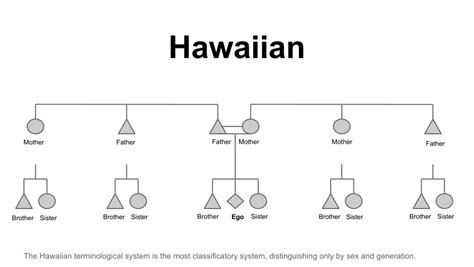 (PDF) Kinship Terminology Diagrams PloS One