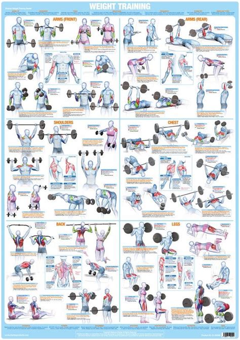 Printable Total Gym Workout Chart