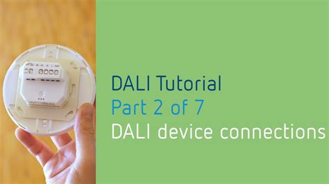 DALI Lighting Control Tutorial 2 7 DALI Device Connections YouTube