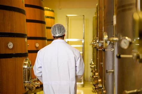 Enólogo profesional que controla el proceso de elaboración del vino y