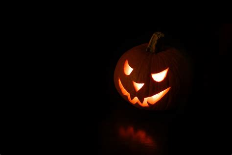 Free Images Jack O Lantern Calabaza Trick Or Treat Orange Pumpkin Cucurbita Winter