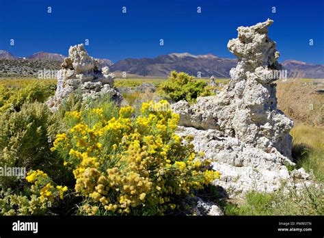 Sierra Towers California Hi Res Stock Photography And Images Alamy