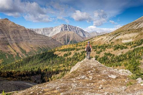 7 Great Larch Hikes In Alberta Travel Banff Canada