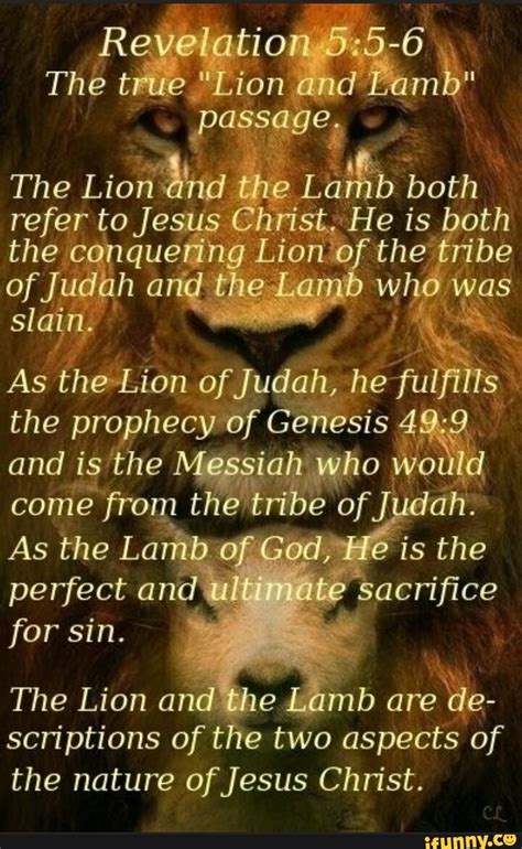 Revelation The True Lion End Lamb Passage The Lion And The Lamb Both