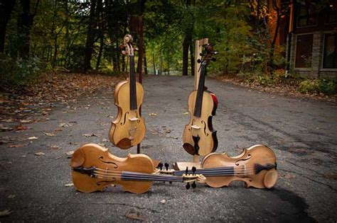 Bluejay Fiddles Bowed String Shop