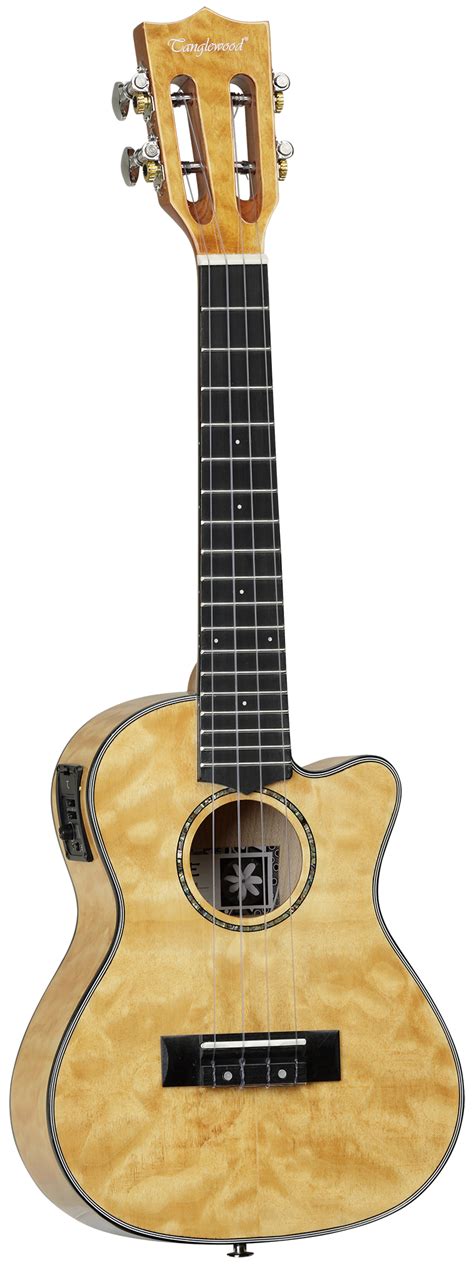 Tanglewood Guitars Officially Britain S Best Selling Acoustic Guitars