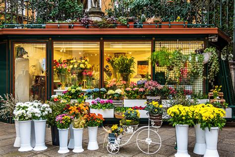 How To Start A Flower Shop Online In Dubai 2023 Guide Trade License