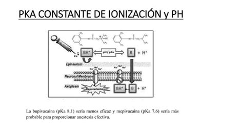 Factores Que Modifican La Acci N De Los Anest Sicos Locales Ppt