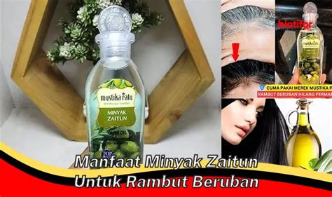 Temukan Manfaat Minyak Zaitun Untuk Rambut Beruban Yang Jarang