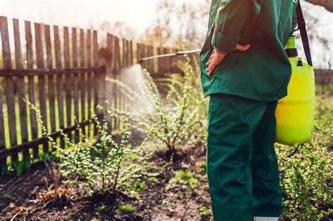 Fungicidas Uso Doméstico Libra A Tus Plantas De Enfermedades — Plantamus Vivero Online