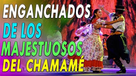 30 Minutos De Chamamé Para BAILAR SUPER BAILABLE Enganchados De Los