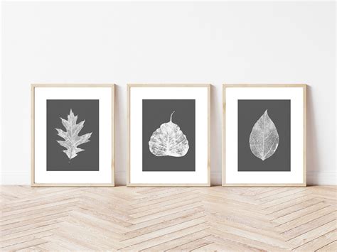 Skeleton Leaf Wall Art Leaf Prints Fall Leaf Art Set Wall | Etsy