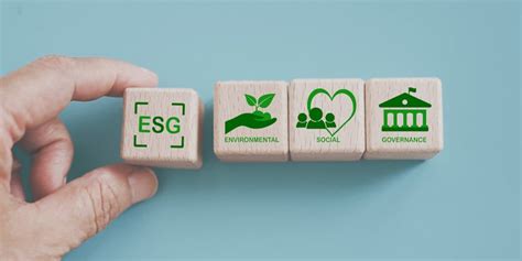 Qu Son Los Criterios Esg Y Para Qu Sirven Sinergias Empresariales