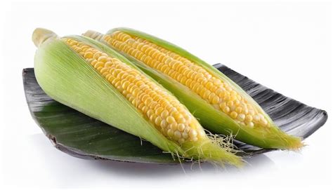 Premium Photo Fresh Corn Isolated On White Background