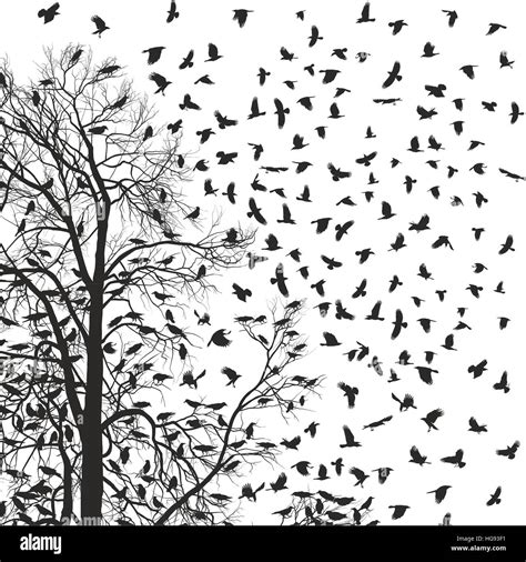 Flock of crows Stock Photo - Alamy