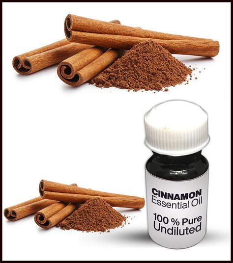 Natural Cinnamon Oil Pure Cinnamon Essential Oil Etsy