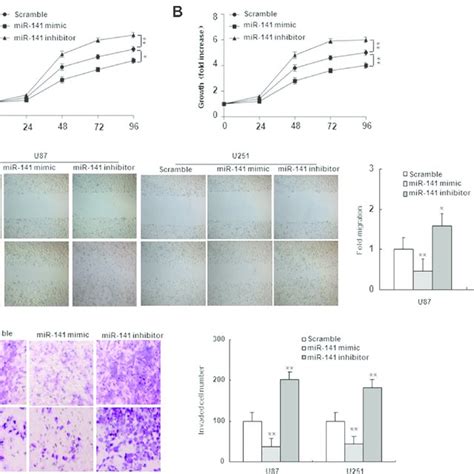 Mir 141 Suppresses Cell Proliferation Migration And Invasion In U87