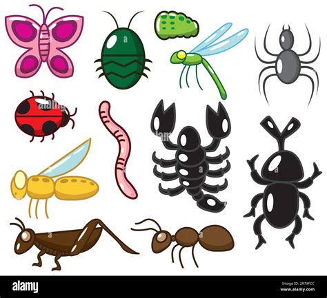 Cricket insect Stock Vector Images - Alamy