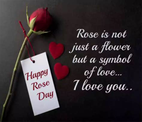 Romantic Rose Day Quotes For Boyfriend Quotesproject