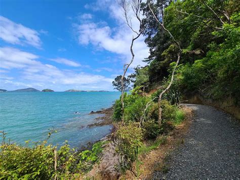 The Very Best Things To Do in Coromandel Town