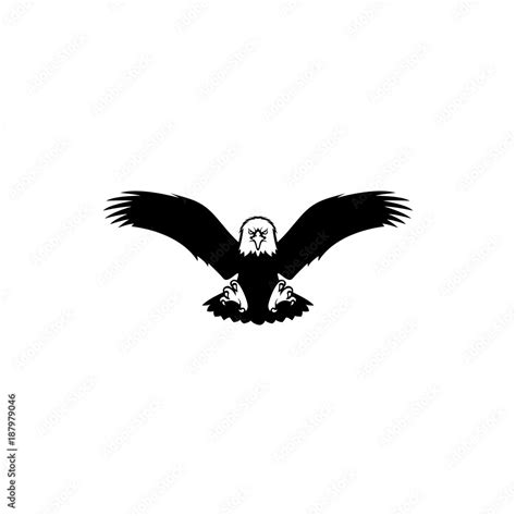 eagle flying view front vector illustrations Stock Vector | Adobe Stock