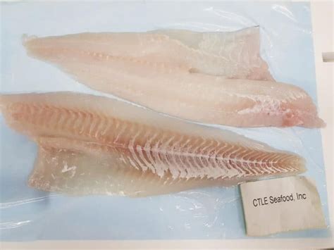 Fresh Atlantic Cod Fillets And Haddock Fillets Ctle Seafood Inc