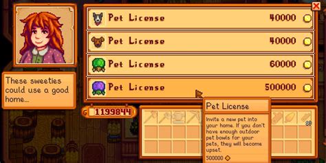 How To Get A Pet Turtle In Stardew Valley