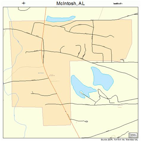 McIntosh Alabama Street Map 0145472