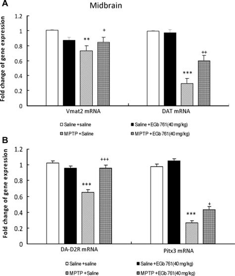 Ginkgo Biloba Extract Egb Modulates The Expression Of Dopamine