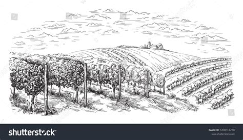 17,201 Vineyard drawing Images, Stock Photos & Vectors | Shutterstock