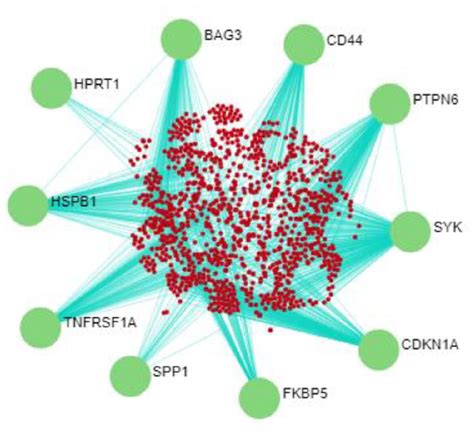 Visualization And Prediction Of Hub Proteins In Ppi Network Ppi