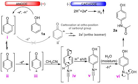 Synthesis Of Paracetamol