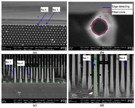 Sensors Free Full Text Nanomechanical Characterization Of Vertical