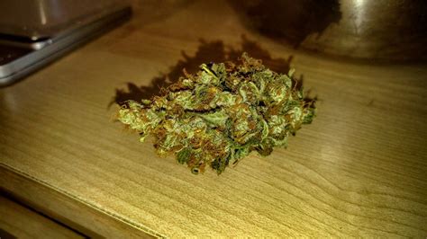 Shiva Skunk Weed Strain Information Leafly