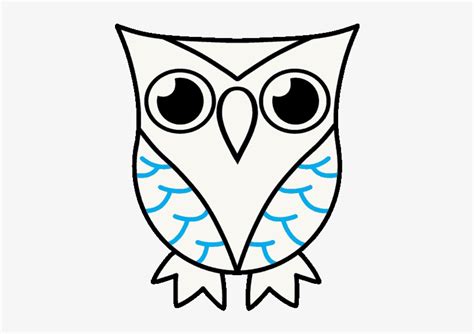 How To Draw A Cartoon Owl In A Few Easy Steps Easy Drawing Pictures