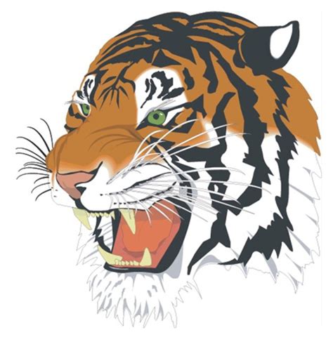 Tiger head vector free download