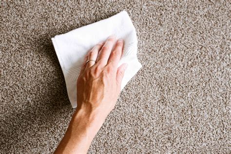 How To Clean Carpet The Right Way