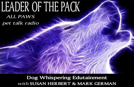 Leader of the Pack on BBS Radio TV