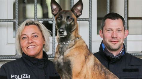 Polizeihunde Aus Kassel Werden Als Datenspeicher Sp Rhunde Ausgebildet