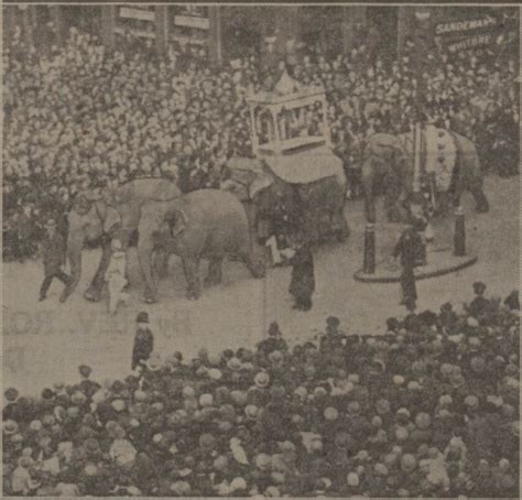 How A Fake Lion Caused An Elephant Stampede In London | Londonist