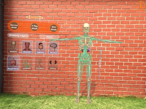Human Anatomy 4D Mixed Reality