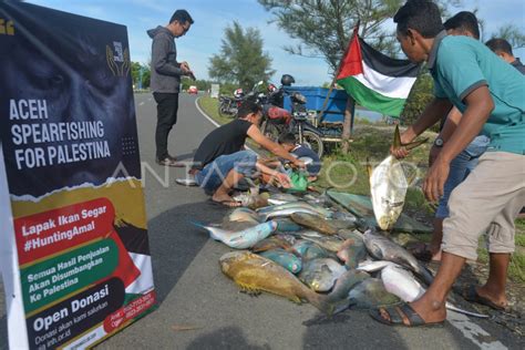 Lelang Tangkapan Ikan Untuk Donasi Palestina Antara Foto