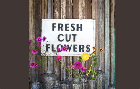 Fresh Cut Flowers Metal Sign - James+James Furniture | Springdale, Arkansas