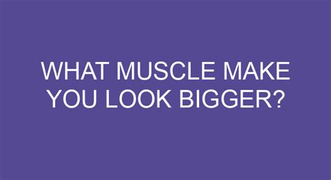 What Muscle Make You Look Bigger